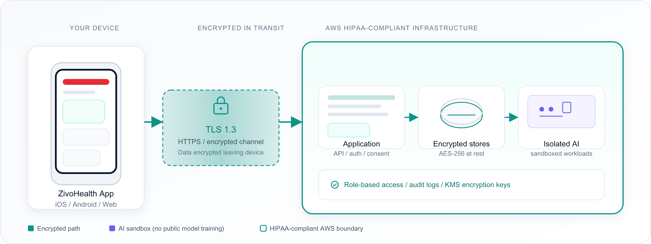 Diagram: ZivoHealth app on your device connects through TLS 1.3 encryption to HIPAA-compliant AWS infrastructure with application layer, AES-256 encrypted stores, and isolated AI workloads